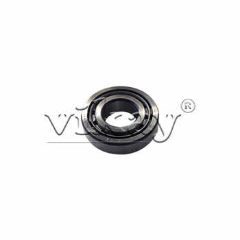 Bearing 0508230800 Replacement